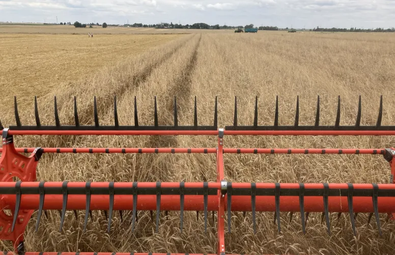 moisson de céréales