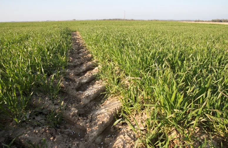 La fertilisation minérale a un impact sur l'augmentation du stock de C des sols mais celui-ci reste inférieur aux apports directs d'amendements organiques.