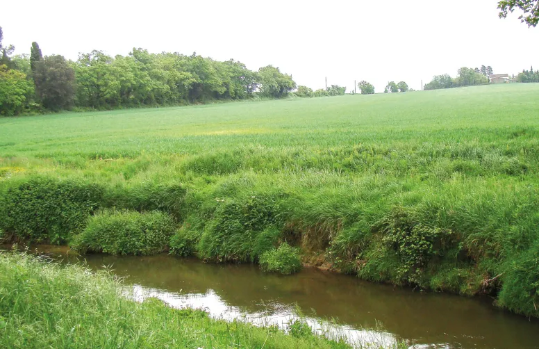 Lors de sa séance de décembre, la commission des aides de l’AESN a examiné 527 projets, finalisé le soutien aux projets engagés en 2025 et préparé les premières décisions d’aides pour 2026.