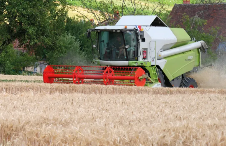 Moissonneuse-batteuse récoltant une parcelle de blé.