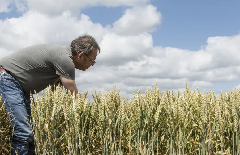 note commune INRAE / ANSES / ARVALIS 2025