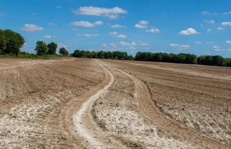 Parcelle agricole au sol recouvert de chaux