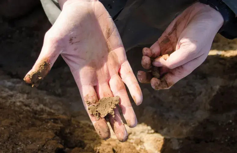 Un agronome examine la structure d'une poignée de terre