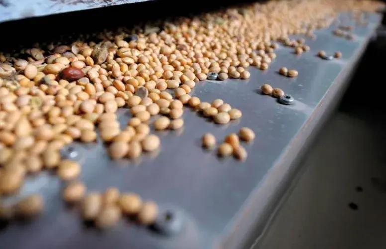 En 2023-2024, 2,8 millions de tonnes de soja ont été consommées par l’ensemble du cheptel français, dont une très faible partie issue de surfaces potentiellement déforestées ou converties.