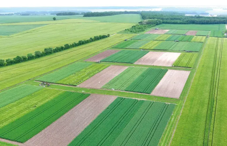 Les travaux de Syppre confirment qu’il n’existe pas de système unique : la multiperformance repose sur l’adaptation des pratiques aux réalités de chaque exploitation.