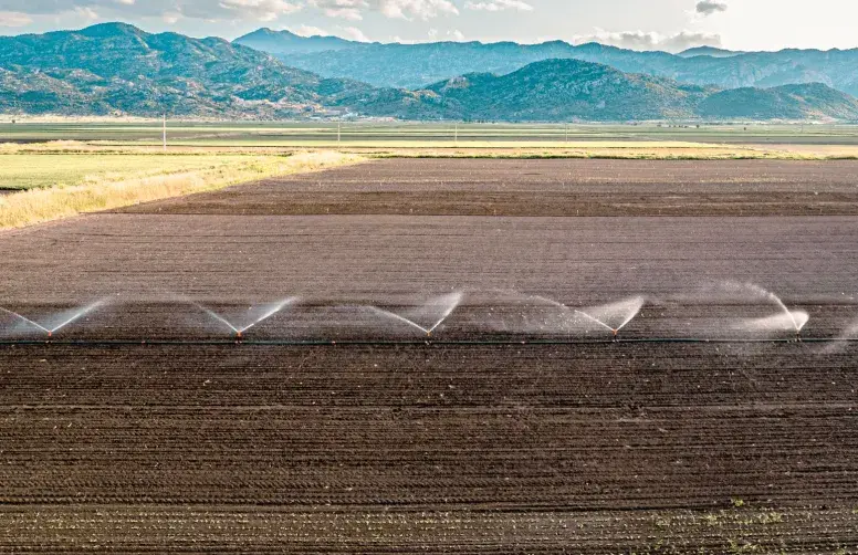 Entre smart farming et constitution de stocks stratégiques, Ankara renforce la résilience de son agriculture face aux crises.