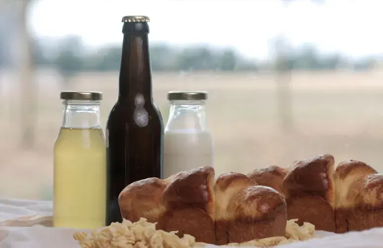 Boissons fermentées, brioche et tempeh produits dans le cadre du projet FERMAVAL