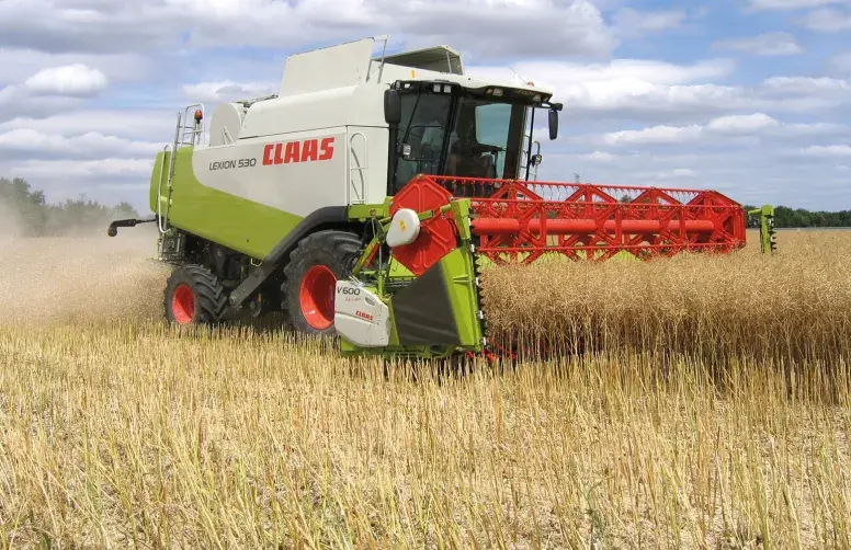 L’ajout d’extensions de coupe ainsi que les efforts en sélection variétale pour limiter l’égrenage ont considérablement réduit les pertes lors de la récolte du colza. Pour autant, le bon réglage des engins ne doit pas être négligé.  