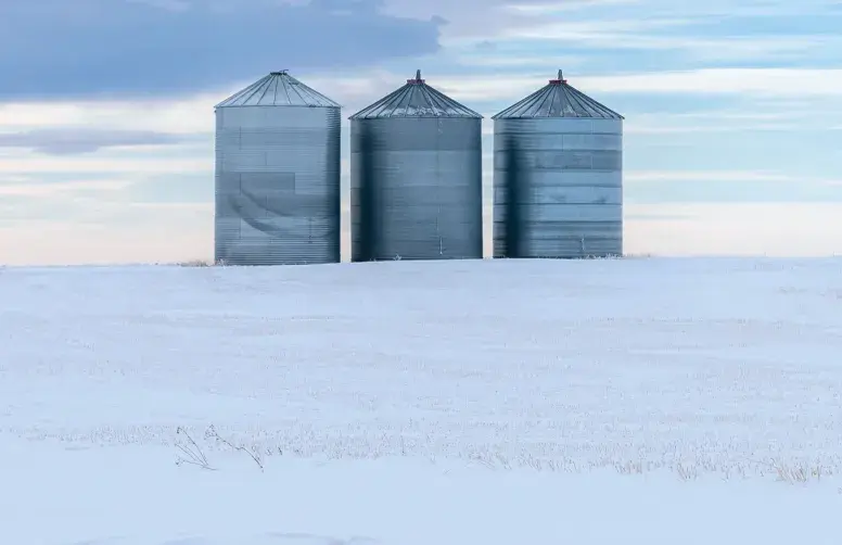 En Finlande, les réserves de céréales sont capables de nourrir la population et le bétail pendant six mois.
