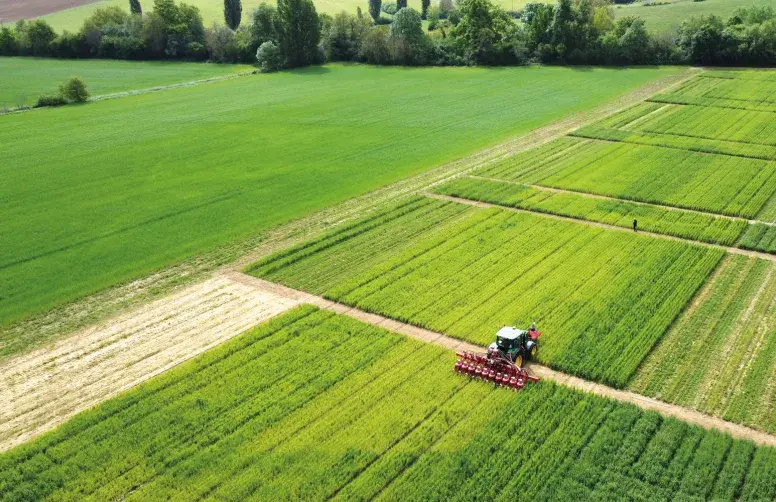 Les essais ont permis d’évaluer la faisabilité et les conséquences des couverts permanents sur les cultures et les sols en agriculture biologique. 