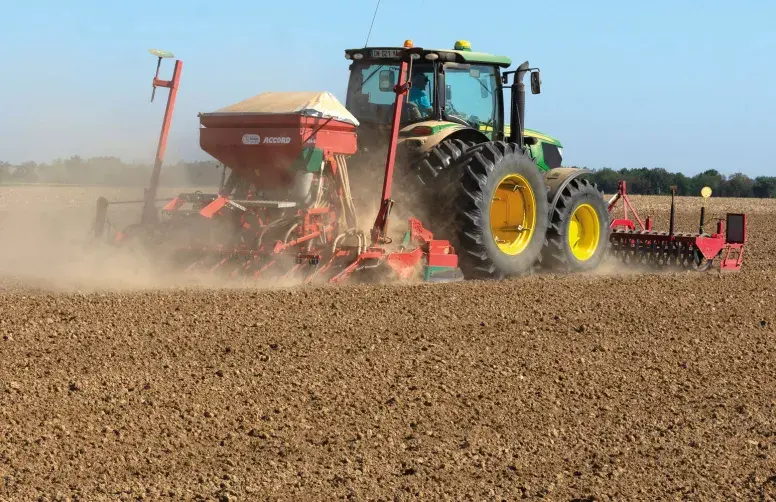 Un semis précoce favorise une levée rapide du colza, limitant l’impact des altises et des larves.
