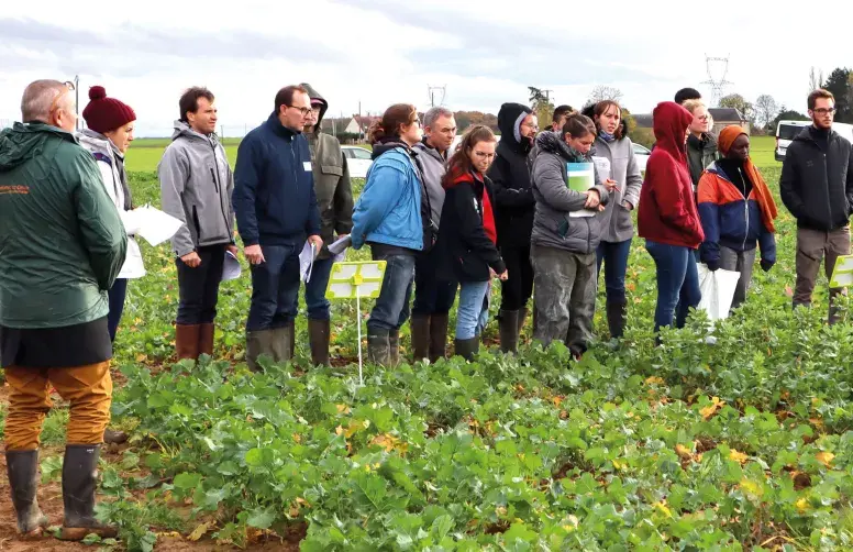 Visite d’une plateforme d’essais organisée par Terres Inovia à Guichainville (27).