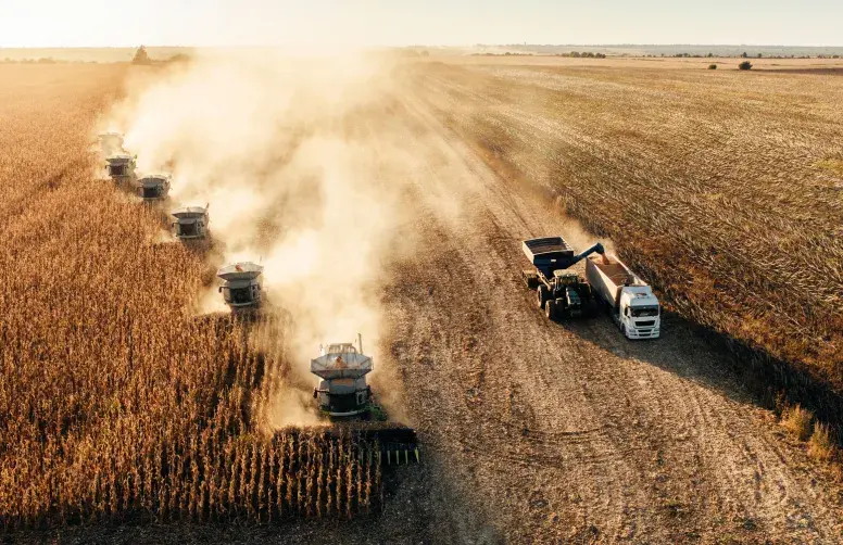 Les agro-holding ukrainiennes exploitent d’immenses surfaces; ils bénéficient de coûts de production extrêmement compétitifs par rapport aux agriculteurs européens.