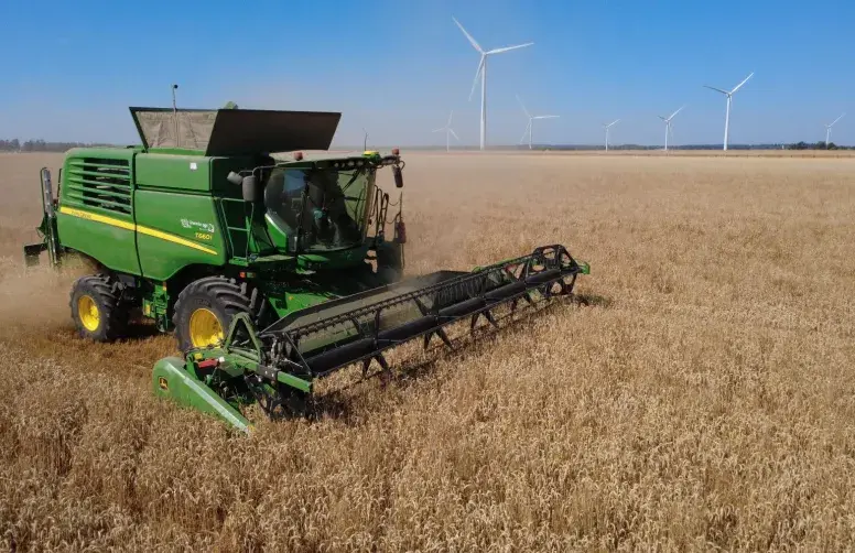Moisson de blé tendre, juillet 2026.