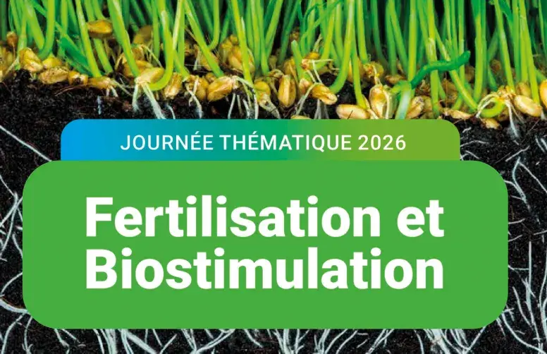 La biostimulation s’affirme comme un levier clé des transitions agricoles. Pour en comprendre les bases scientifiques, les méthodes d’évaluation et les bénéfices, le COMIFER organise à Bordeaux, les 18 et 19 novembre 2026, deux demi-journées d’échanges et de débats.