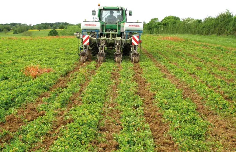 La NutriPlatform évalue l’impact de pratiques durables telles que le semis de couvert à base de légumineuses sur les performances agronomiques et environnementales des fermes européennes.  