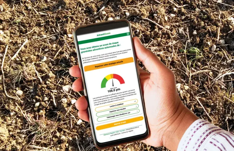 Une main tient un téléphone mobile sur l'écran duquel s'affiche une jauge et un score de points évaluant l’efficacité de sa stratégie de contrôle des graminées adventices automnales.