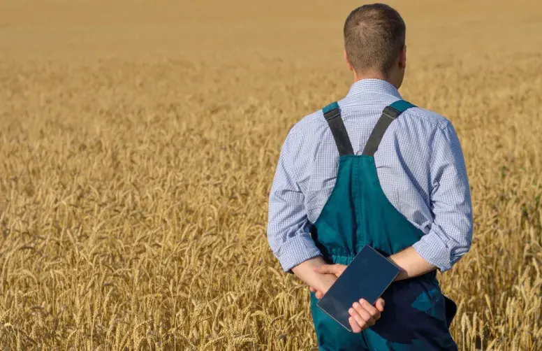 Sans adaptation des assolements au déficit hydrique futur, les agriculteurs de Centre-Val-de-Loire verront les rendements de leurs cultures reculer de 3 à 8 % en moyenne par rapport aux rendements actuels.