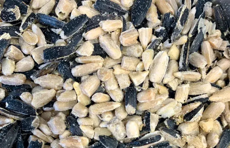 Coques vides et amandes décortiquées de graines de tournesol