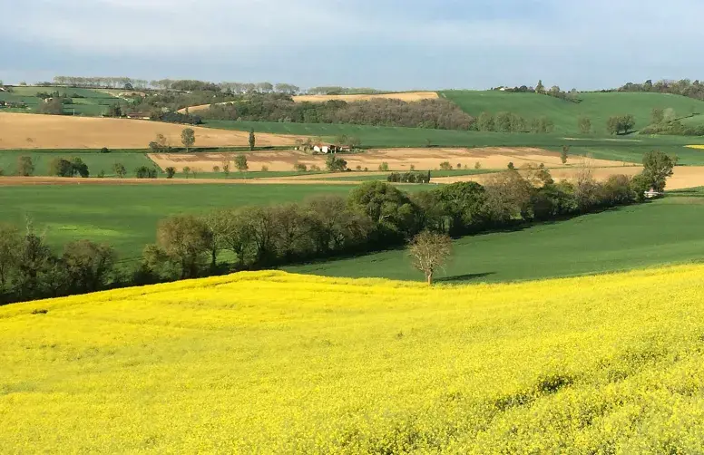 paysage