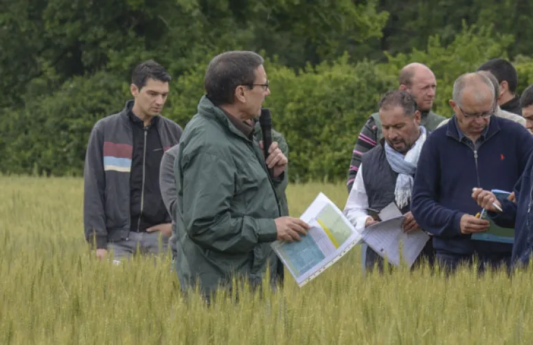Des programmes fongicides adaptés à votre région.