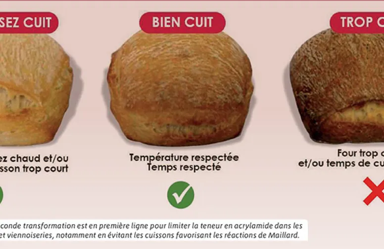 Diminuer la teneur en précurseurs de l'acrylamide dans le grain