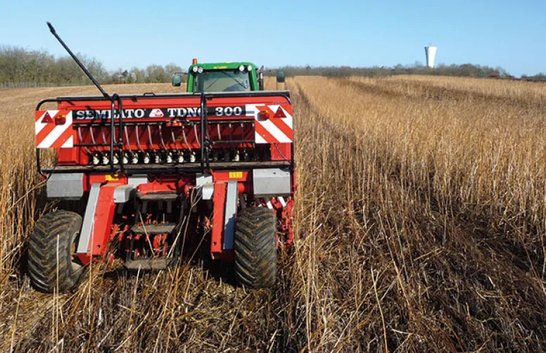 Nouveaux usages du glyphosate autorisés en grandes cultures