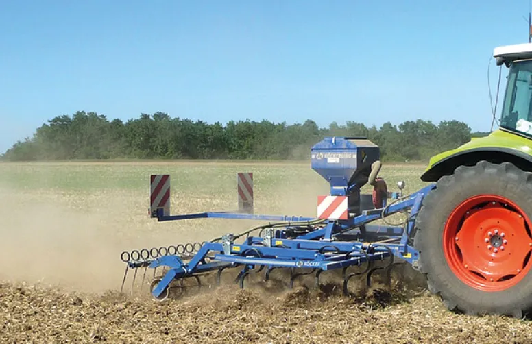 Sept cas concrets de désherbage sans glyphosate en interculture