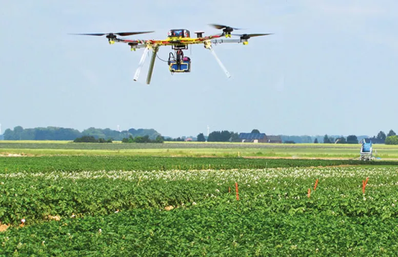 Le pilotage de la nutrition azotée amélioré grâce au phénotypage