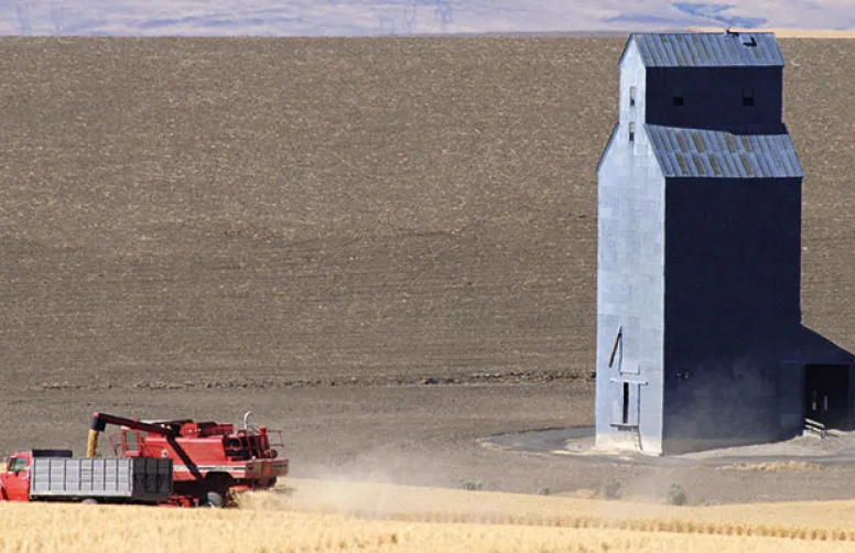 Analyser les facteurs déterminants des marchés agricoles