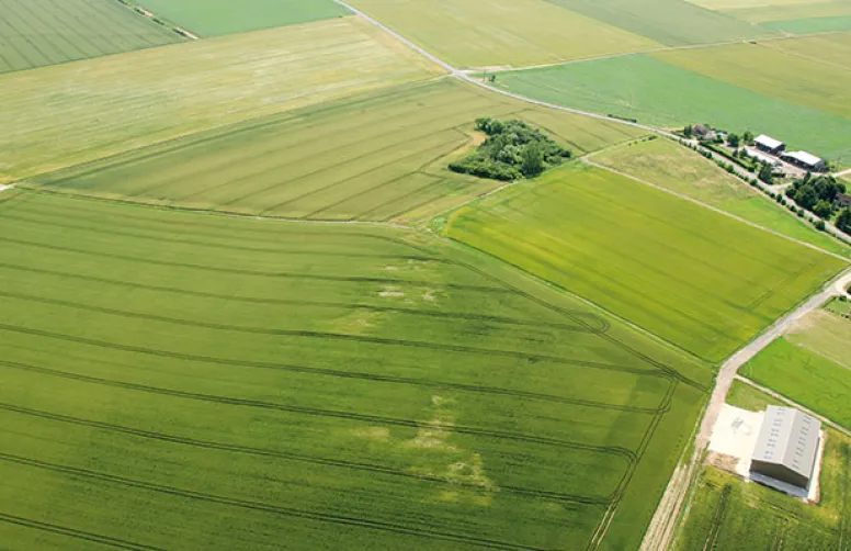 Performances du commerce extérieur agroalimentaire français