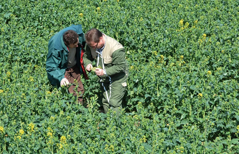 L’agronomie a tout à gagner avec l’acquisition de données à la ferme
