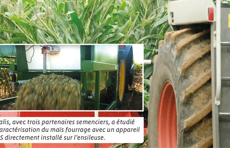 Des outils de mesures de la composition du maïs fourrage au champ