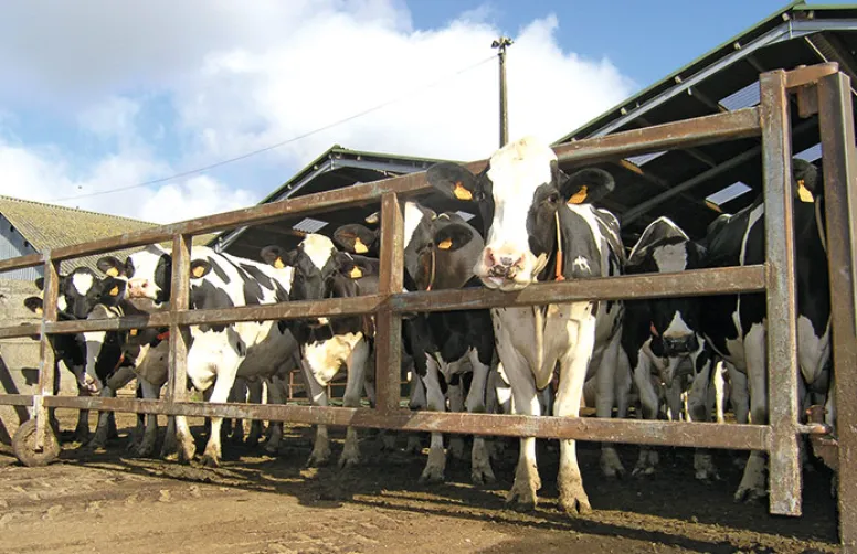 Potentiel de stockage du carbone et émissions de GES en agriculture