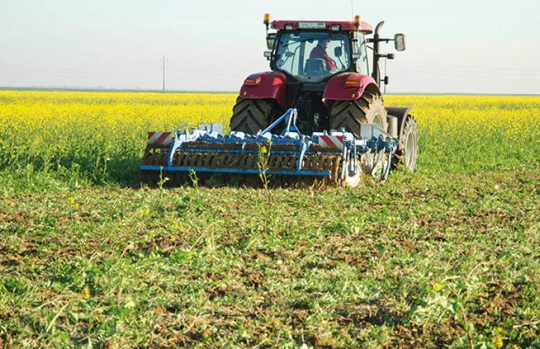 Scores environnementaux des biodiesels de colza et de tournesol.