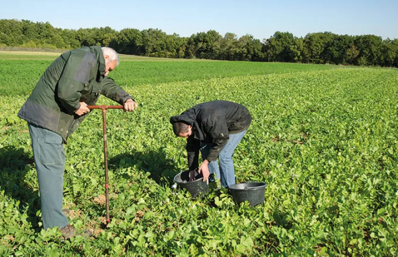 Les processus du fonctionnement racinaire