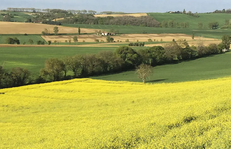 Les services environnementaux rendus par les grandes cultures