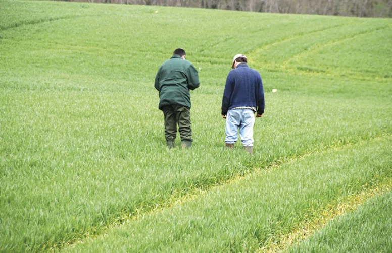 Résultats des essais Arvalis sur les fongicides en blé tendre
