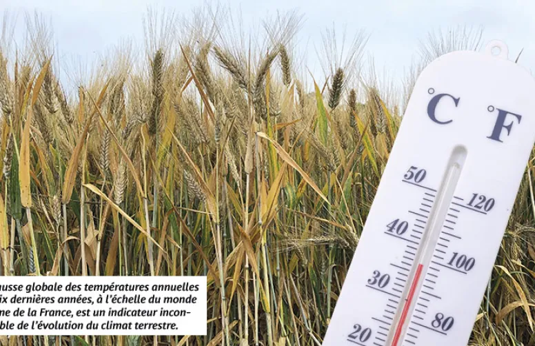 Les signes météo du réchauffement climatique