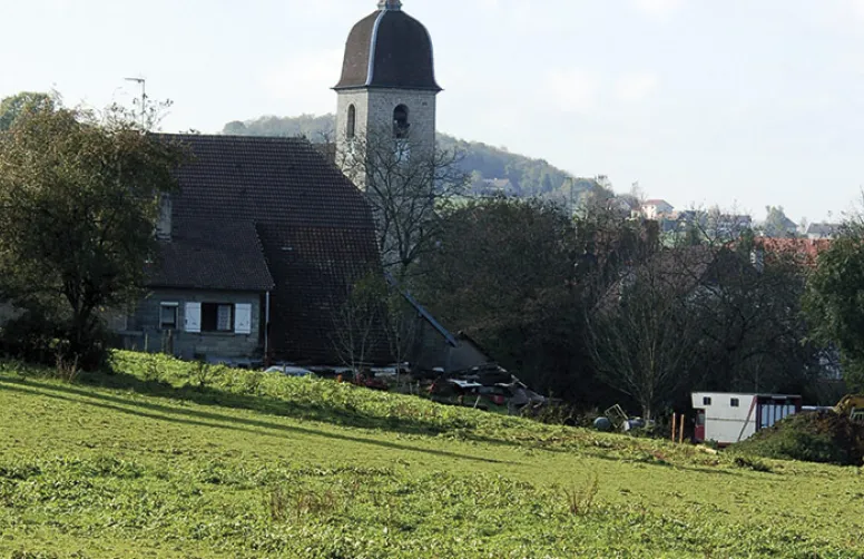 Détruire et rénover une prairie de façon durable