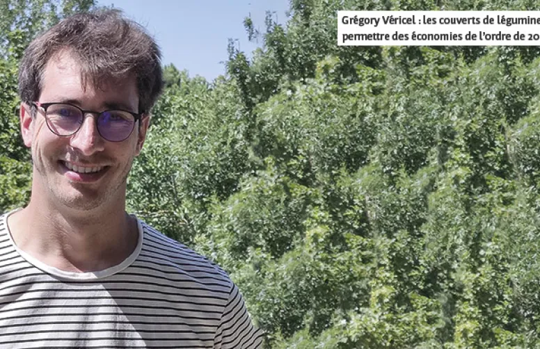 Un couvert de légumineuses pour diminuer les apports d'azote