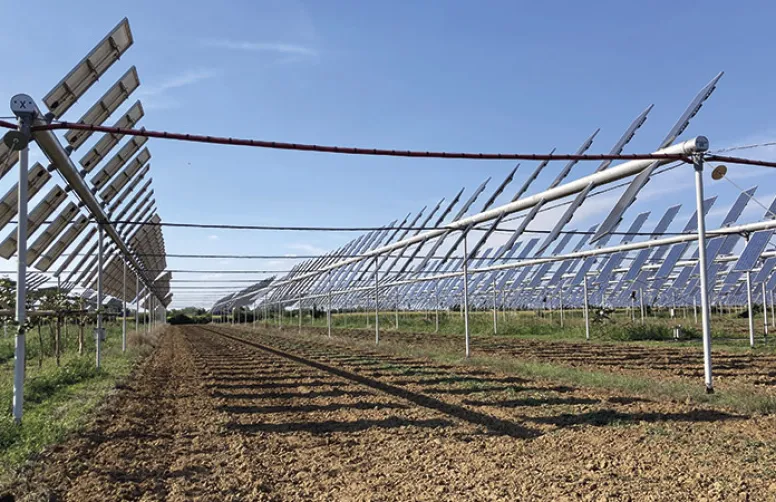La filière agrivoltaïsme portée par les besoins en énergie