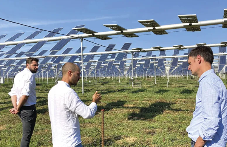 Les dispositifs agrivoltaïques compatibles grandes cultures