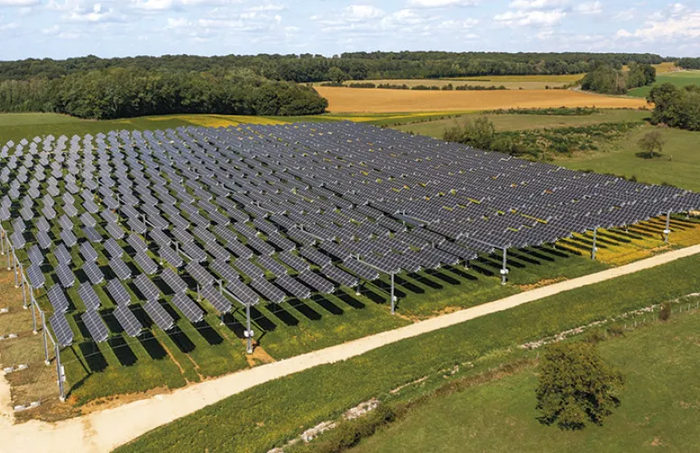 Agrivoltaïsme : qu'attendre d'une ombrière dans son champ?
