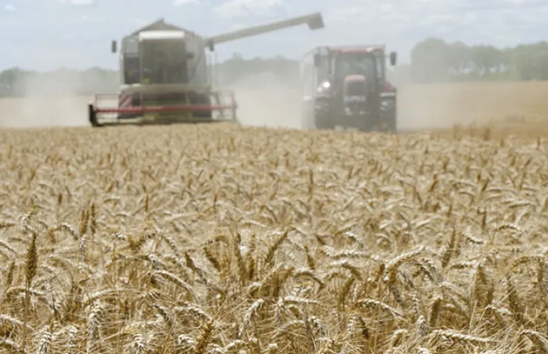 Bilan de la campagne 2021-2022 des céréales d'hiver