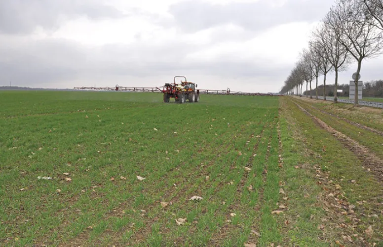 La gestion durable des adventices pour désherber l'orge de printemps
