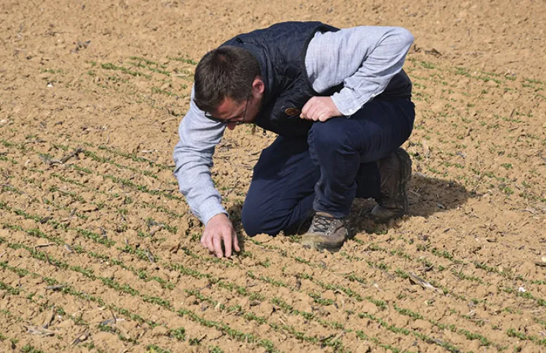 La nouvelle version de Vigicultures sort cet été