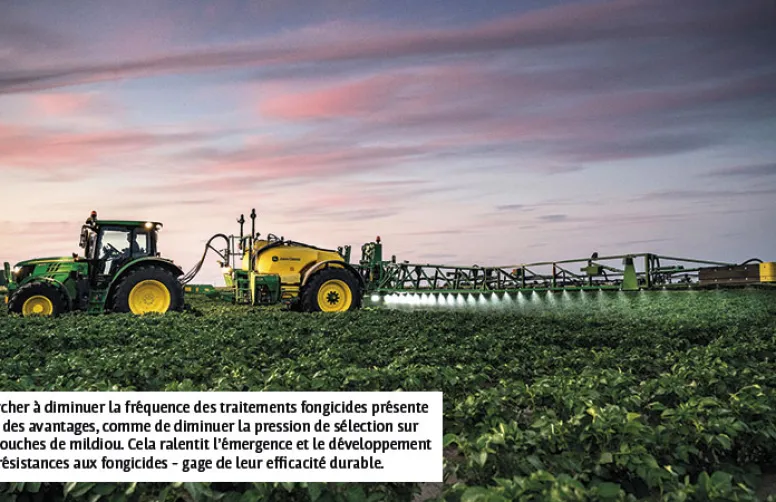 Protection intégrée contre le mildiou de la pomme de terre