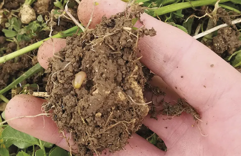 Service Agro-Eco Sol: un transfert réussi du labo vers l'agriculteur