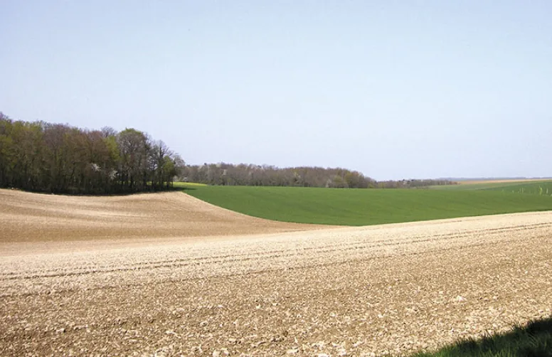 Diminuer les émissions de carbone en Champagne crayeuse